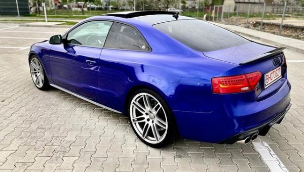 Blueberry